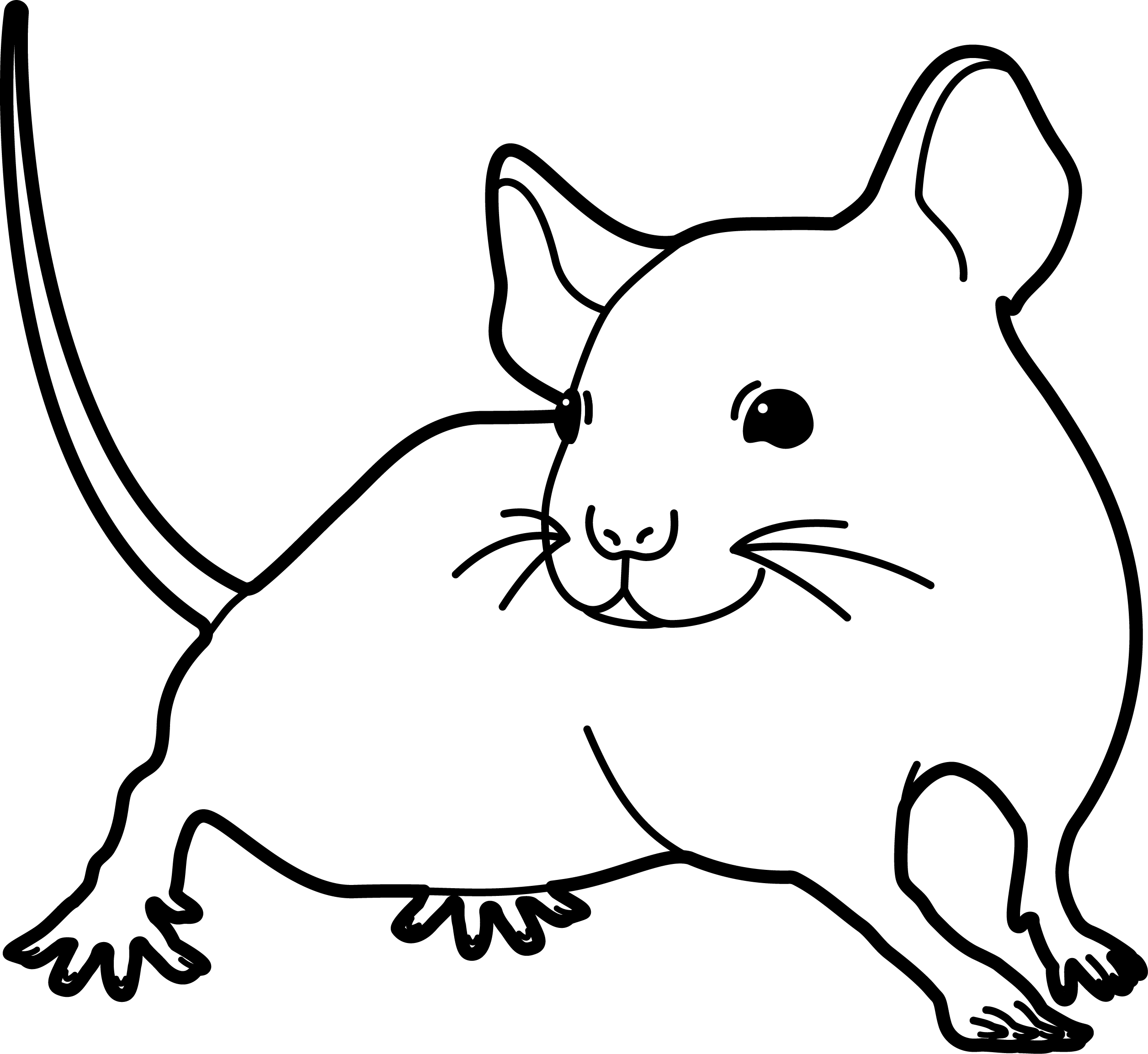 line art for mus musculus mouse