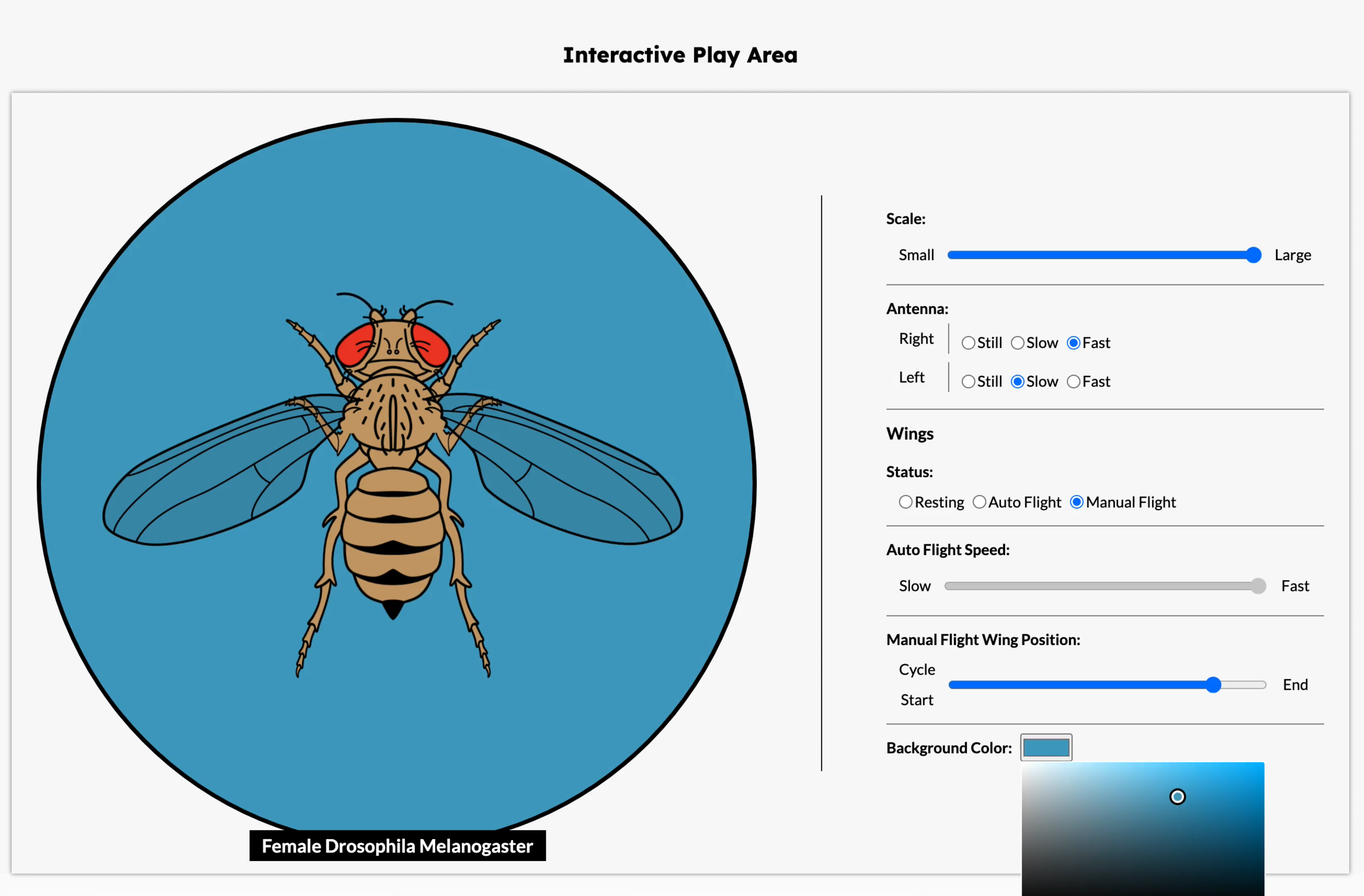 fallback image to show interactive area